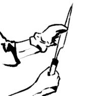 016